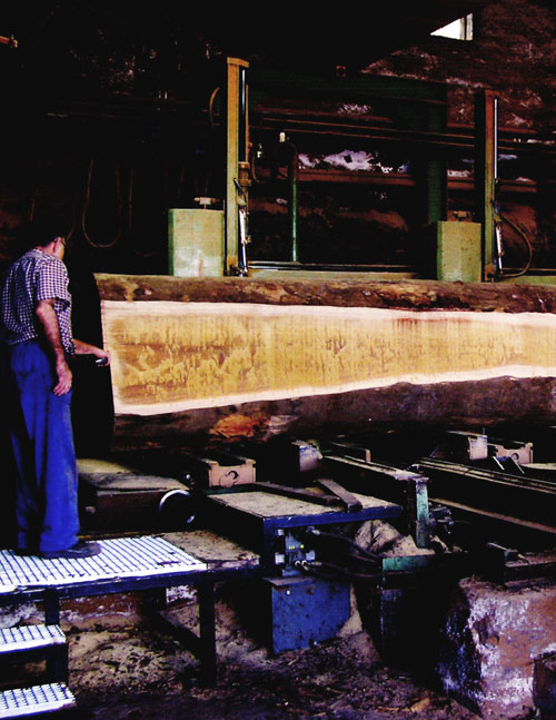 Operario junto a una sierra industrial cortando un tronco de gran tama&ntilde;o &mdash; Dale una segunda oportunidad a los objetos