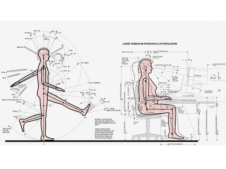 Qué es la ergonomia en el trabajo: tablas de antropometría de Henry Dreyfuss