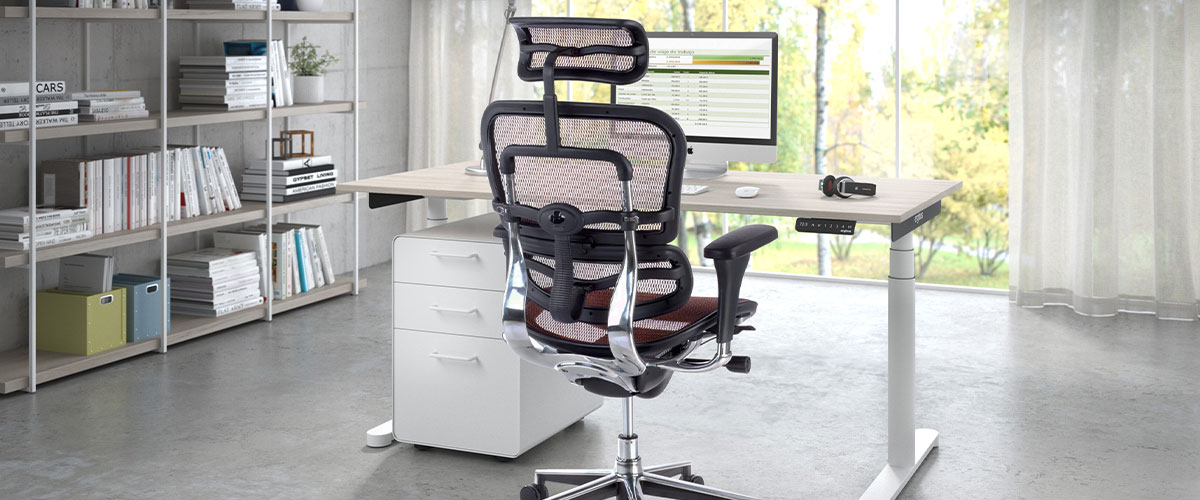 &iquest;Cu&aacute;l es la diferencia entre la silla de oficina de 300 euros y la de 600 euros?