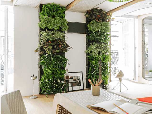Jardín vertical interior: perfecto para tu oficina